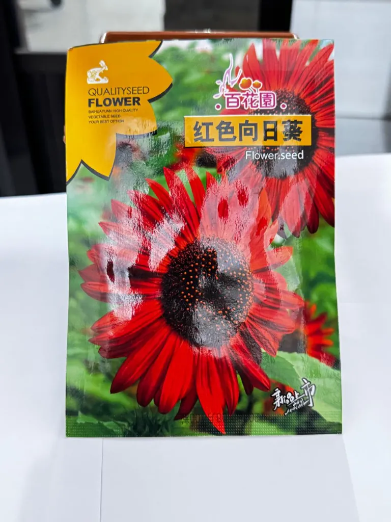 C H Red Sun Flower.webp