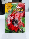 C H Red Sun Flower.webp