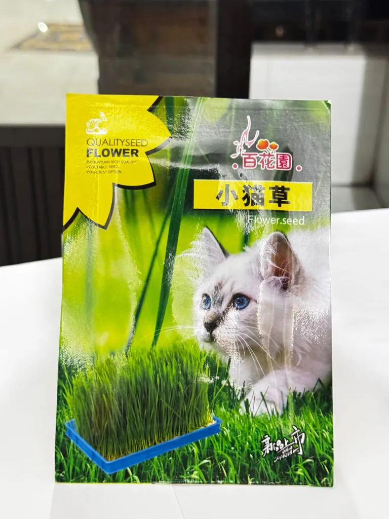 Cat Grass.webp