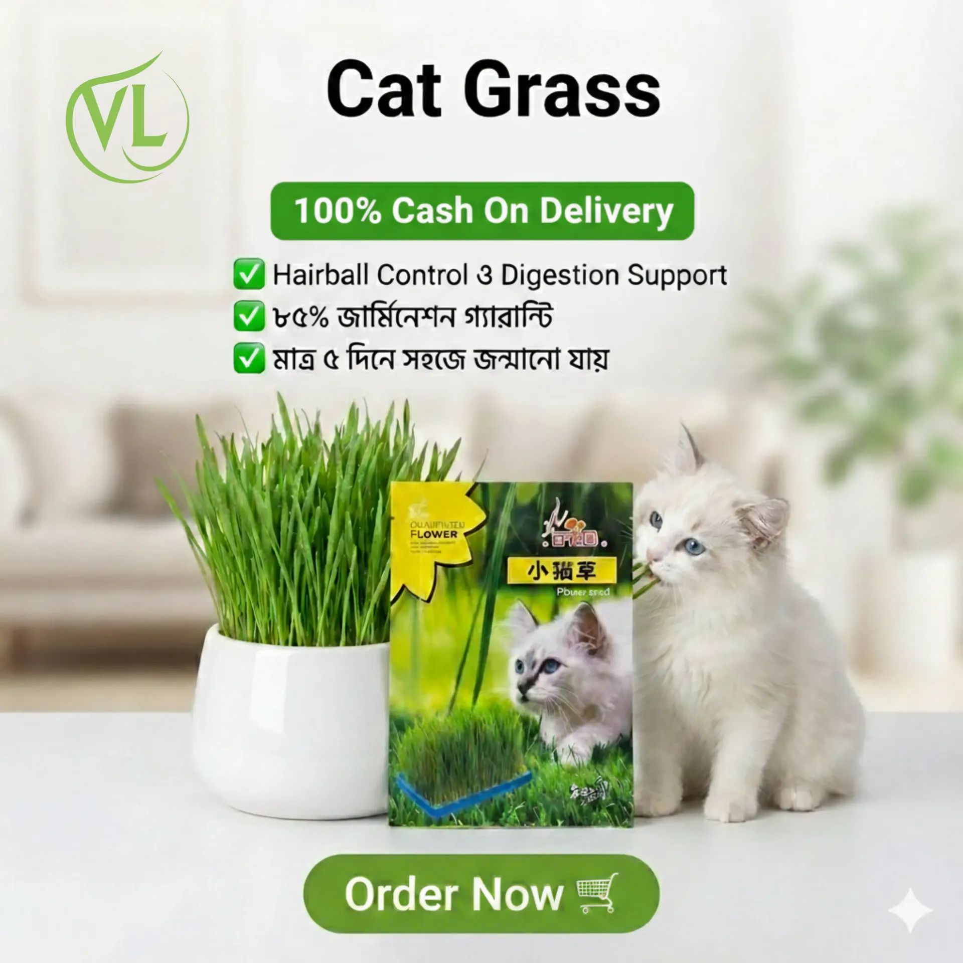 Premium Boutique Cat Grass!