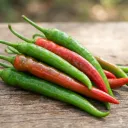 Manik F1 Hybrid Chili Seeds — Tufan (High-Yield & All-Season)